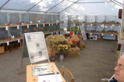 14.10.2007: Die Ausstellung